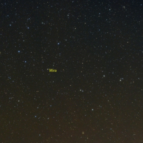 くじら座と変光星ミラ