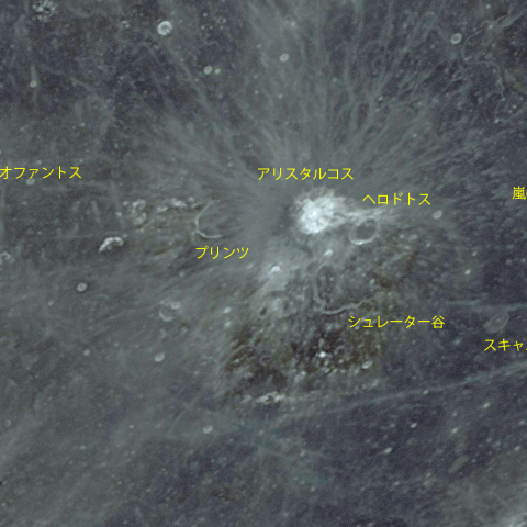 アリスタルコスとその周辺
