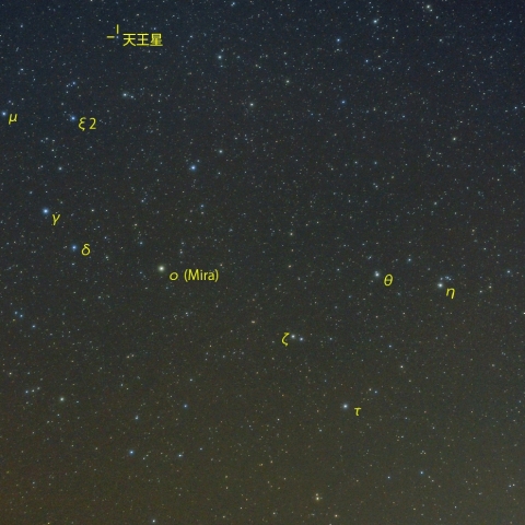 くじら座全景と変光星ミラ