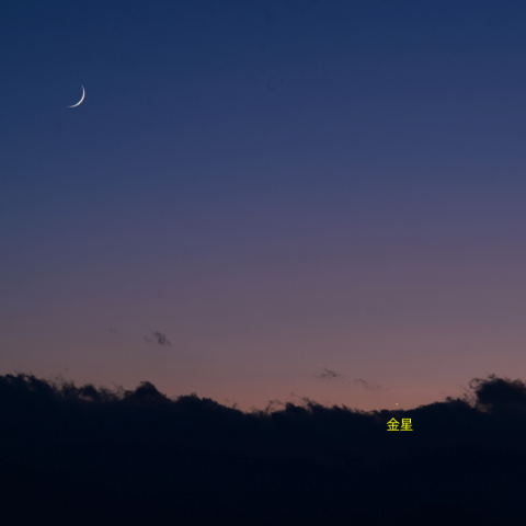 月と金星