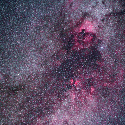 はくちょう座尾部の星雲