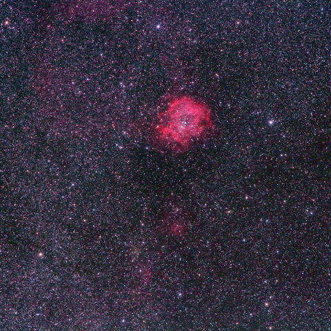 バラ星雲とその周辺