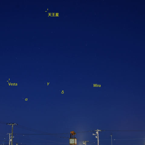 変光星ミラほか