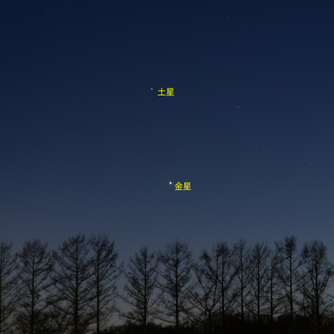金星と土星