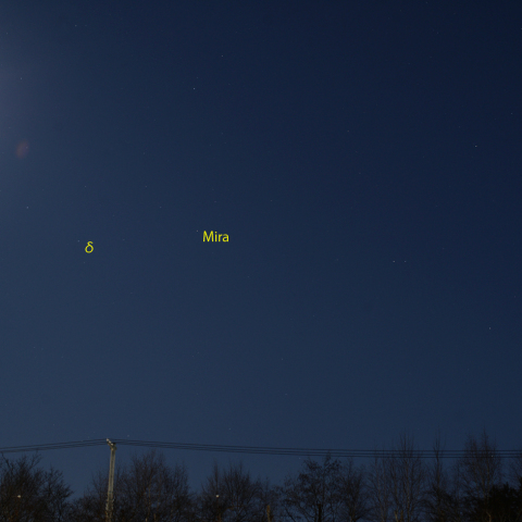 変光星ミラと月