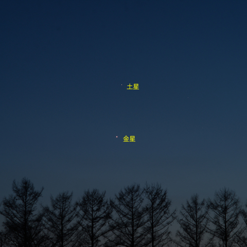 金星と土星の接近