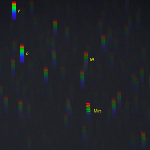 変光星ミラのスペクトル