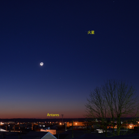 クリスマス・イブの朝