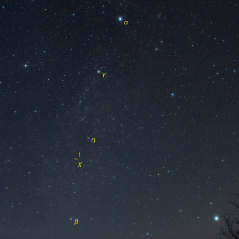 はくちょう座χ