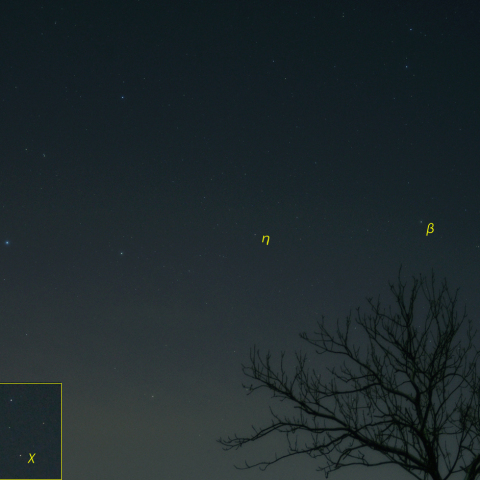 はくちょう座χ