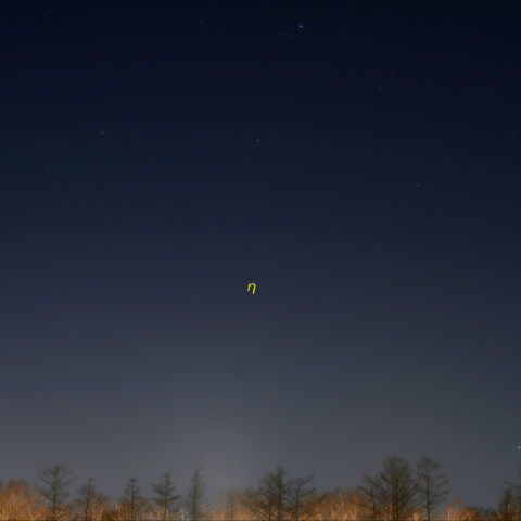 はくちょう座χ