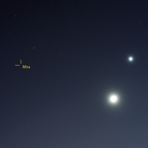 月・金星と変光星ミラ