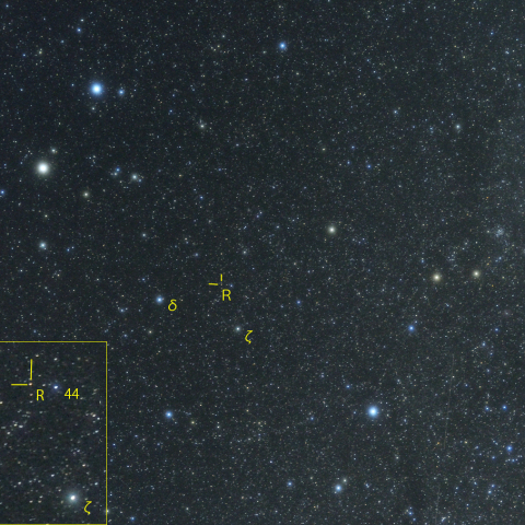 ふたご座Rの極大