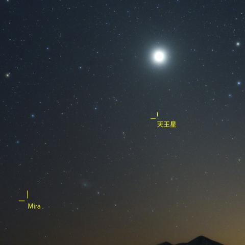 変光星ミラ、金星、天王星