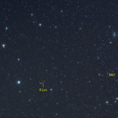 しし座からかに座まで