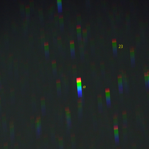 うみへび座α付近のスペクトル