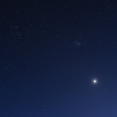 おうし座に近づく金星