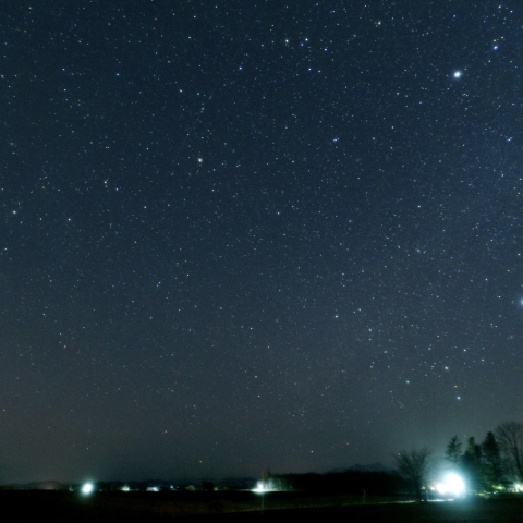 冬から春の星座へ
