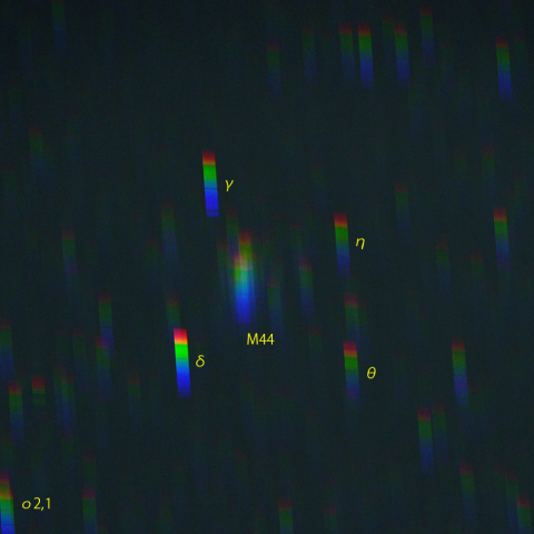 かに座主要部のスペクトル