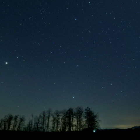 東天の春の大三角