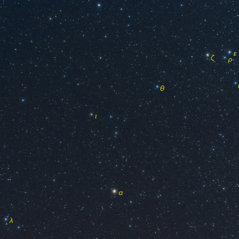 うみへび座頭部