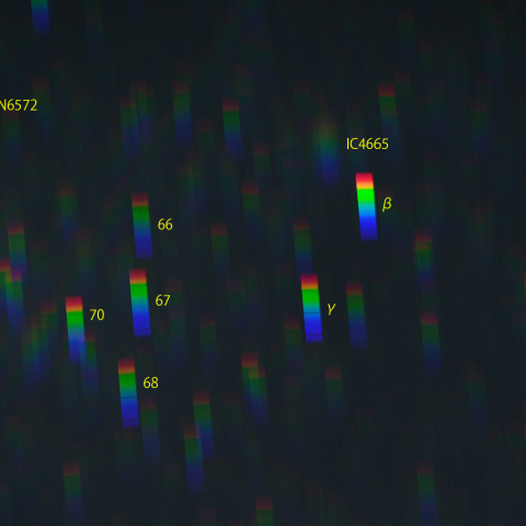 へびつかい座東部のスペクトル