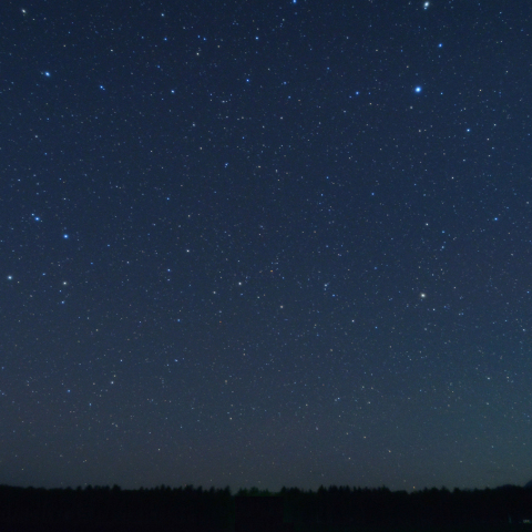 横たわるうみへび座