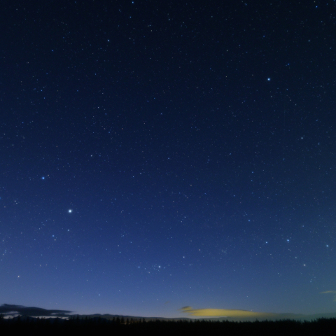 北の地平線上の星座たち