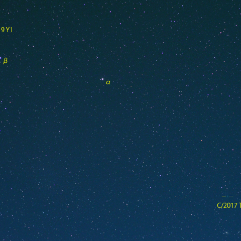 おおぐま座の二彗星