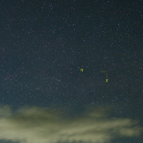 はくちょう座χ