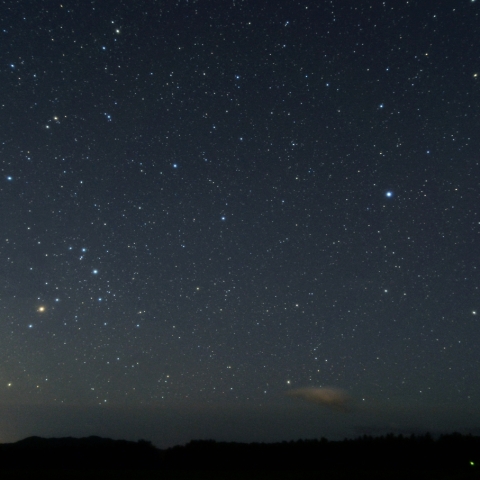 春から夏の星座へ