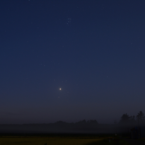 金星とおうし座