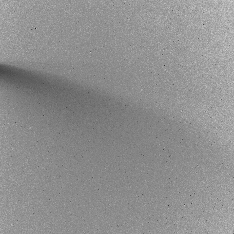 ネオワイズ彗星 (C/2020 F3)