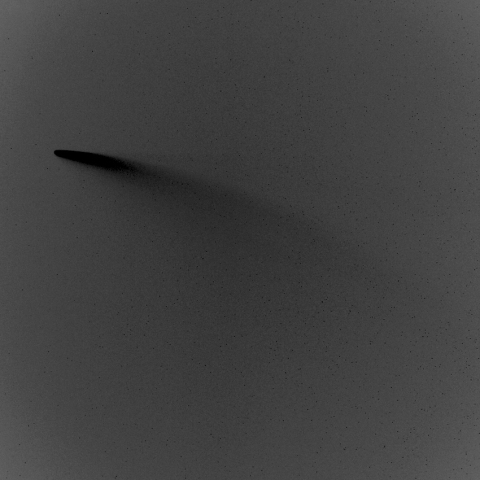 ネオワイズ彗星 (C/2020 F3) の尾