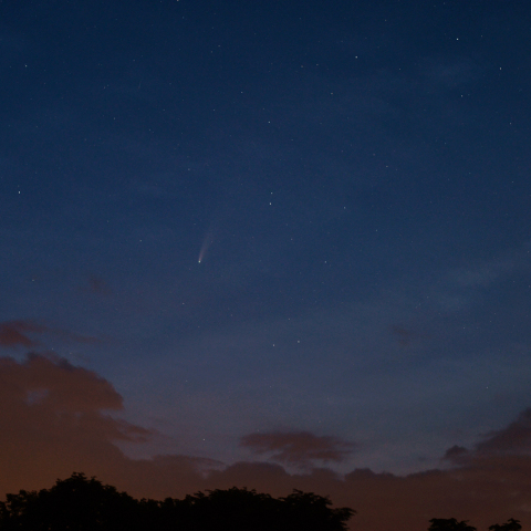ネオワイズ彗星 (7月20日)