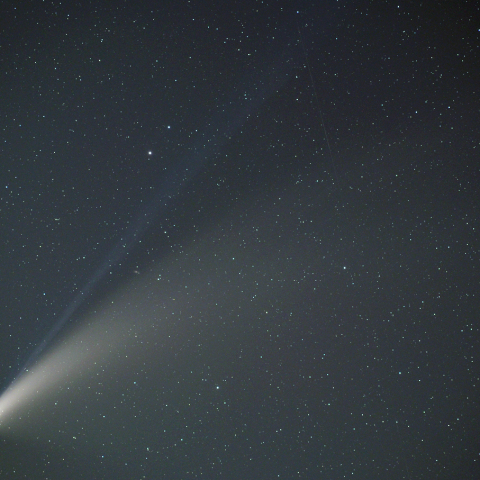 ネオワイズ彗星 (7月19日)