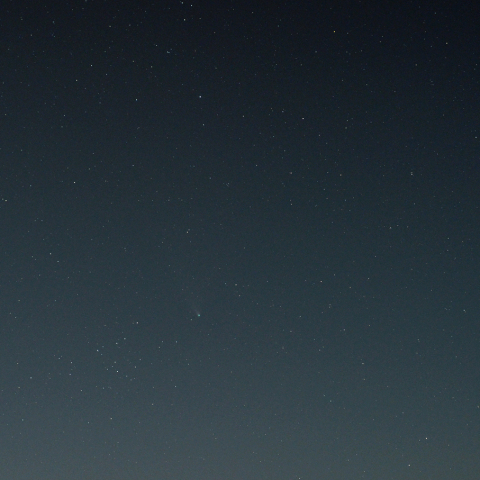 ネオワイズ彗星 (7月30日)
