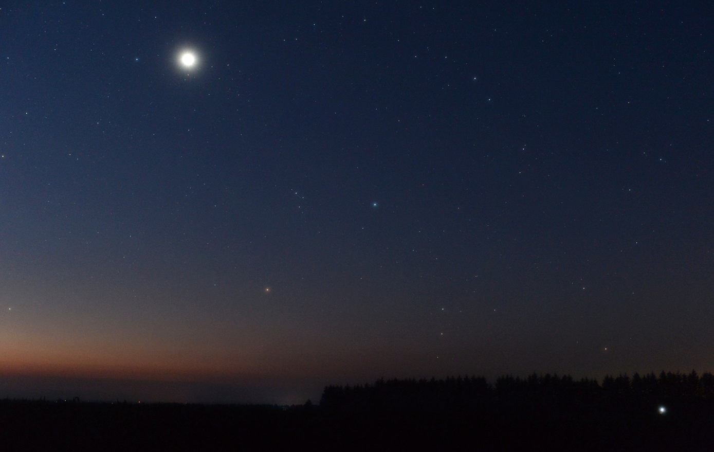 昇るオリオンと金星 By Alphavir 天体写真ギャラリー