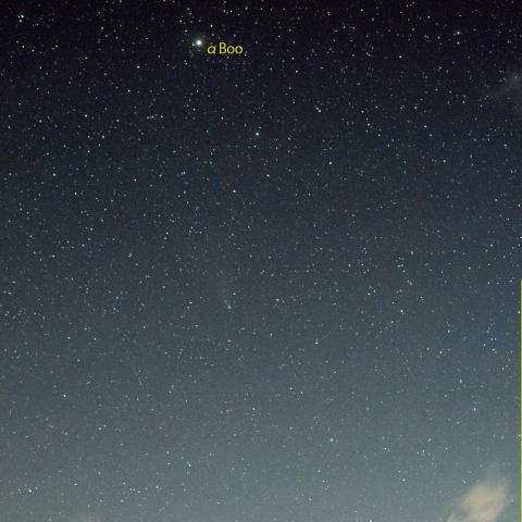 ネオワイズ彗星 (8月11日)