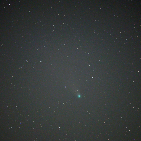 ネオワイズ彗星 (8月12日)