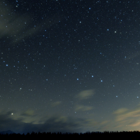 西に傾いた星座たち