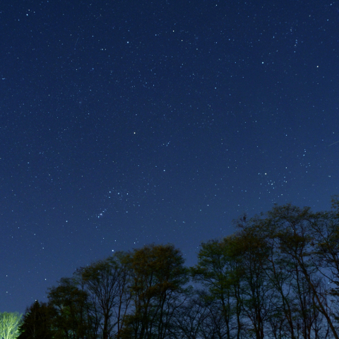 市街地からの冬の星座
