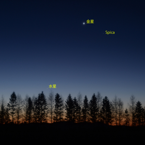 金星・水星とスピカ