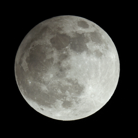 半影月食 (11月30日)