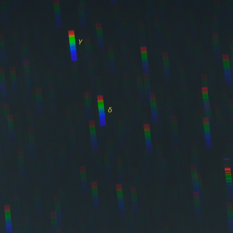 ミラのスペクトル