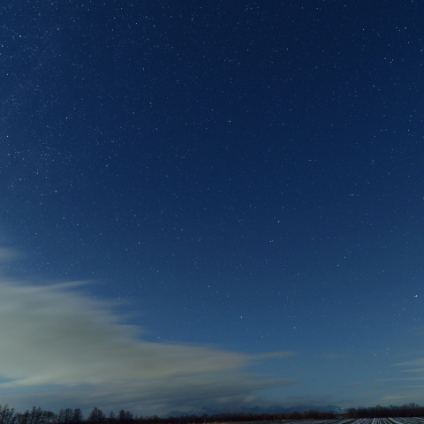 ふたご座流星群の永続痕 (12月23日)