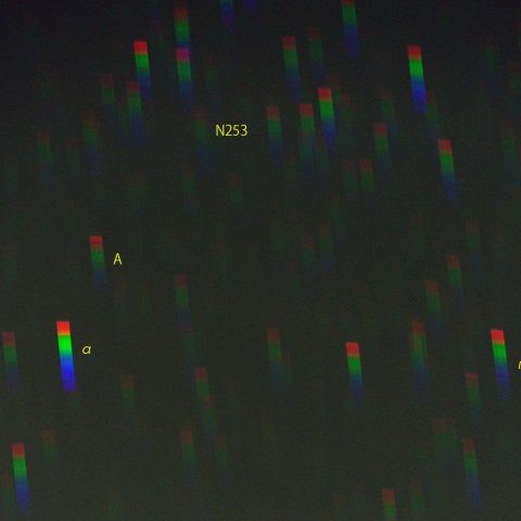 ちょうこくしつ座主要部のスペクトル