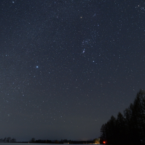 防風林と冬の星座
