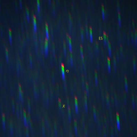 はくちょう座χのスペクトル (4月16日)