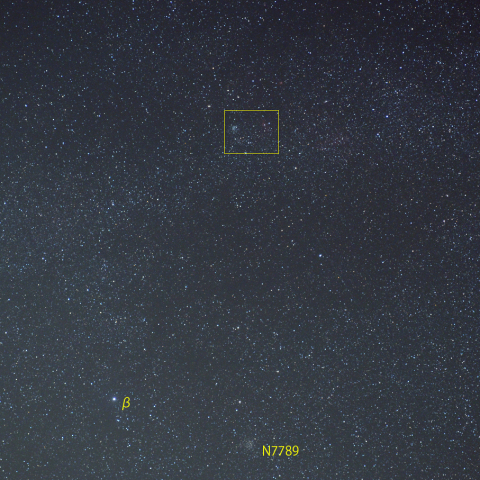 カシオペヤ座新星 (5月7日)